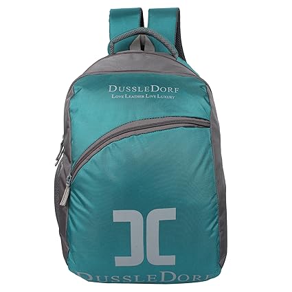 Dussledorf Polyester 22 Liters Turquoise and Gray Laptop Backpack DUSS-III-17