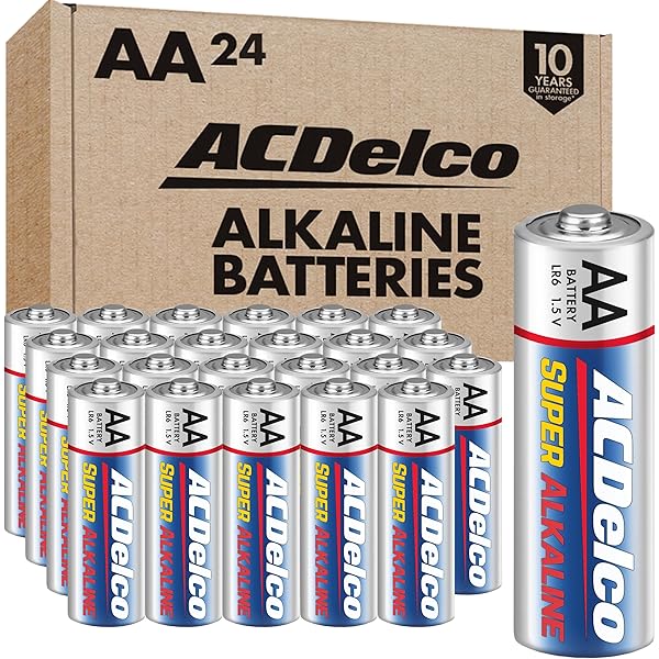 Amazon.com: ACDelco 20-Count Triple AAA Batteries, Maximum Power