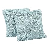 Amazon Basics Shaggy Long Fur Faux Fur Throw Pillow Covers, 18"x18", Pack of 2 - Teal Blue