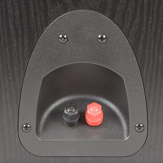 klipsch synergy b2 speakers