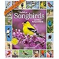 Audubon Songbirds and Other Backyard Birds Picture-A-Day® Wall Calendar 2025