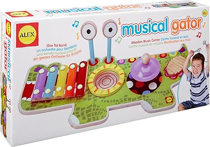 all in one music toy