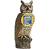 Gardeneer By Dalen Natural Enemy Scarecrow SOL-R Action Owl