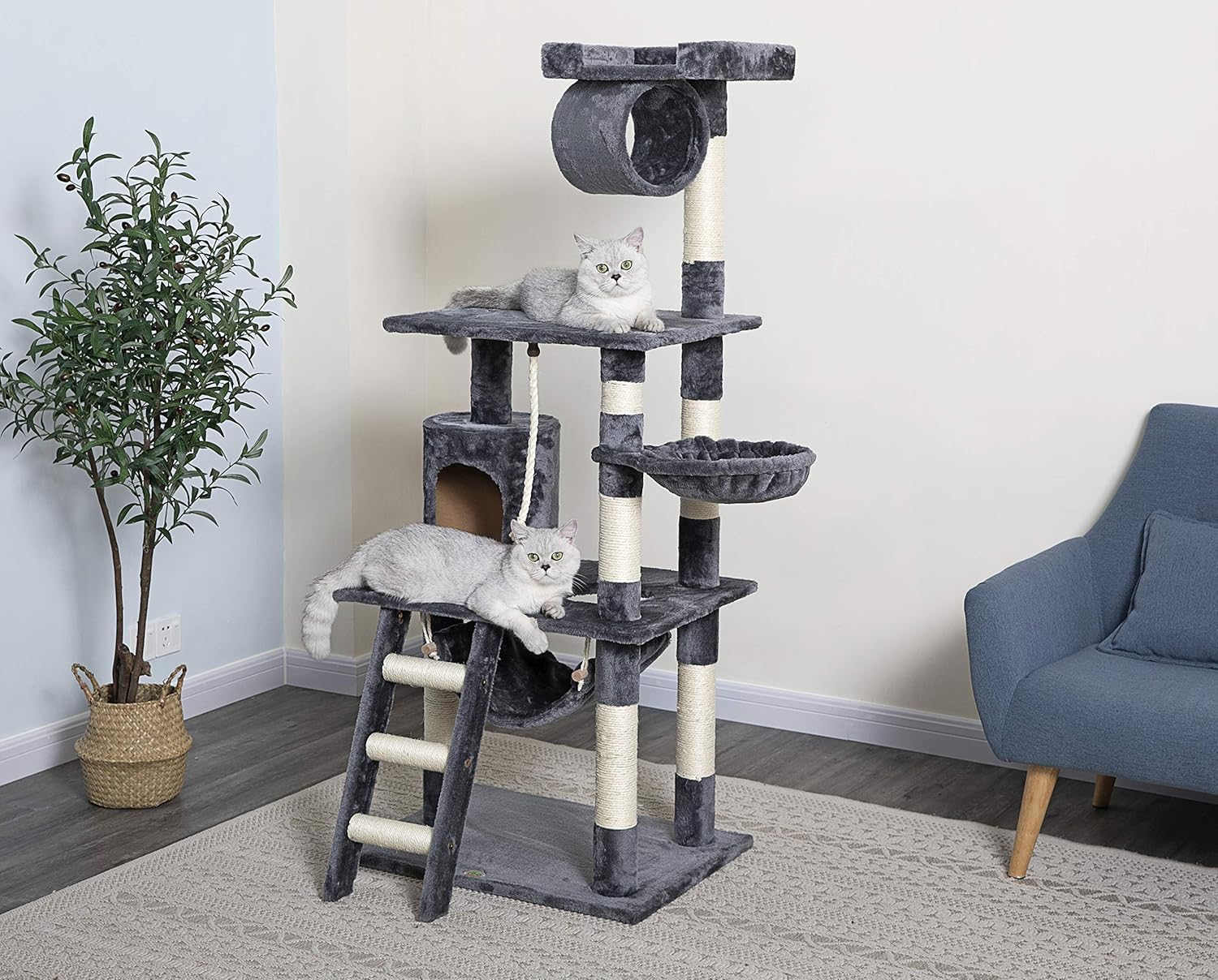 Go Pet Club 62-Inch Cat Tree : Pet Supplies