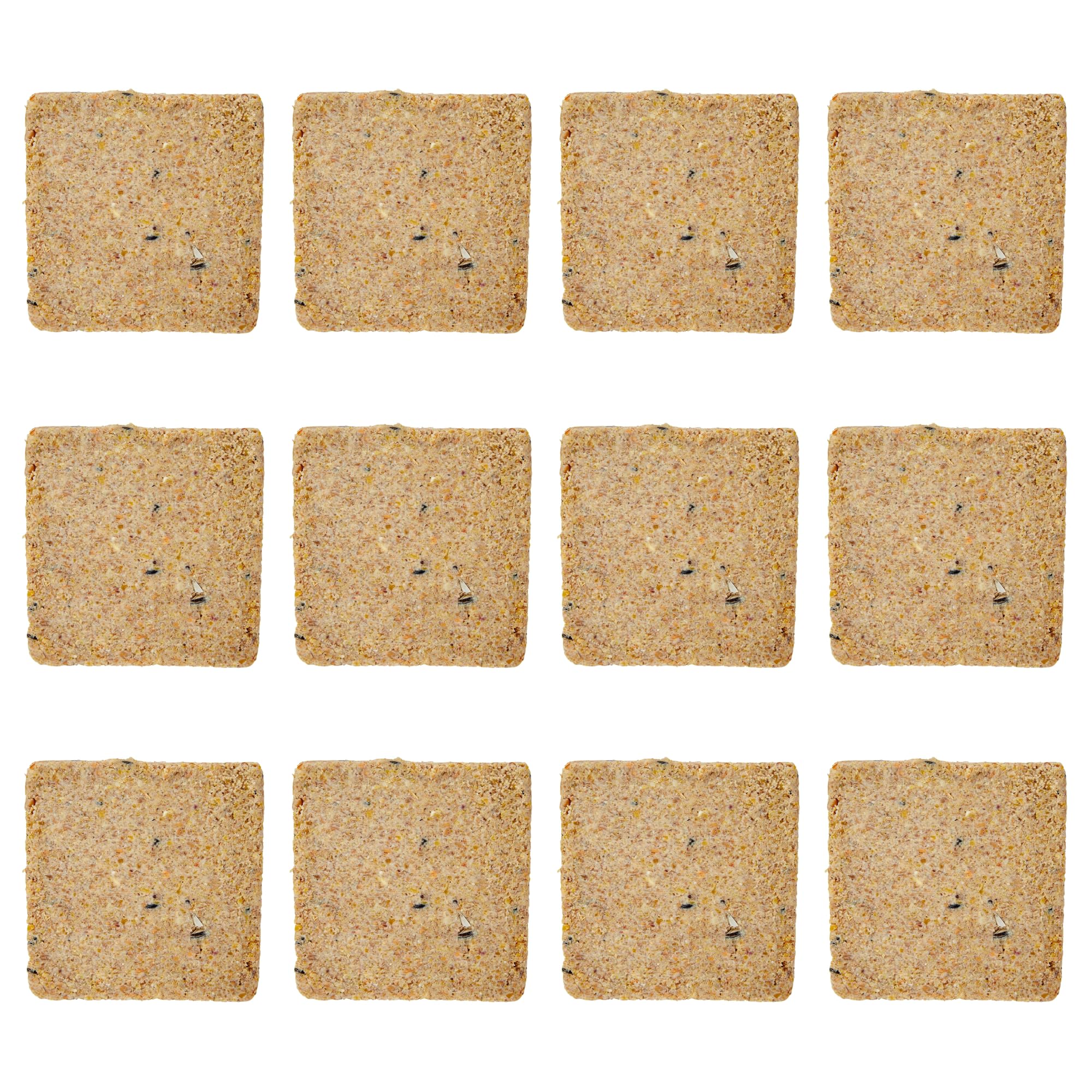 Garden Ting Mealworm Suet Block Wild Bird Treat, 12 x 300g