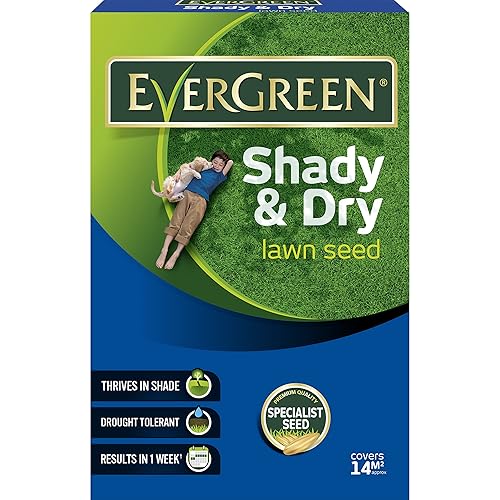 Chatsworth 200g Super Patch Grass Seed Amazon.co.uk Garden & Outdoors