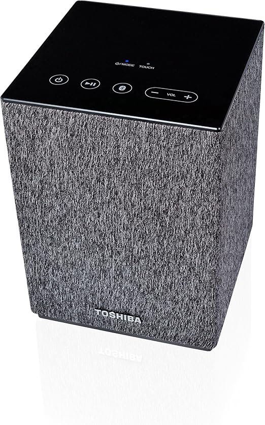 toshiba google home