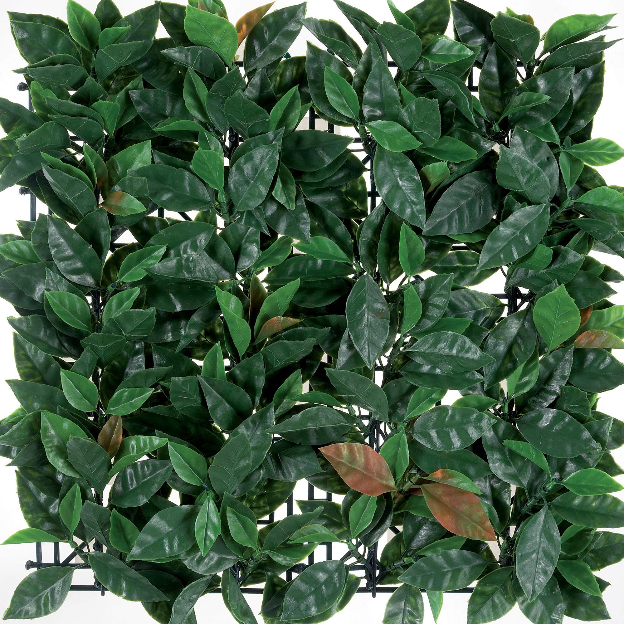 Synthetic panel hedge for vertical garden wall Photinia green/red