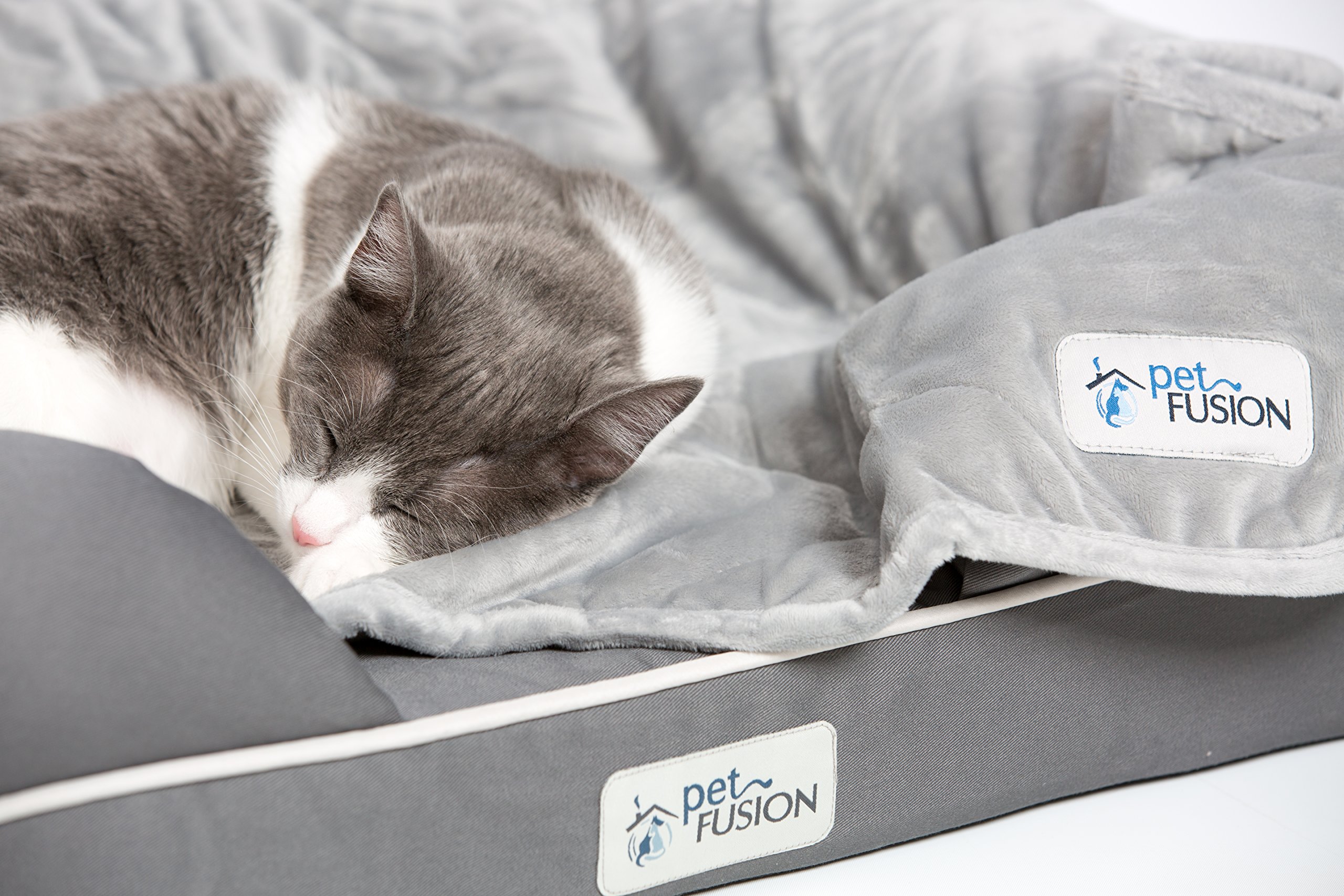 PetFusion Small Pet Bed w/Solid 2.5" Memory Foam, Waterproof Liner, YKK Premium Zippers. [Gray, Ultimate Lounge 25x20x5.5; Dog beds Furniture Also for Cats]