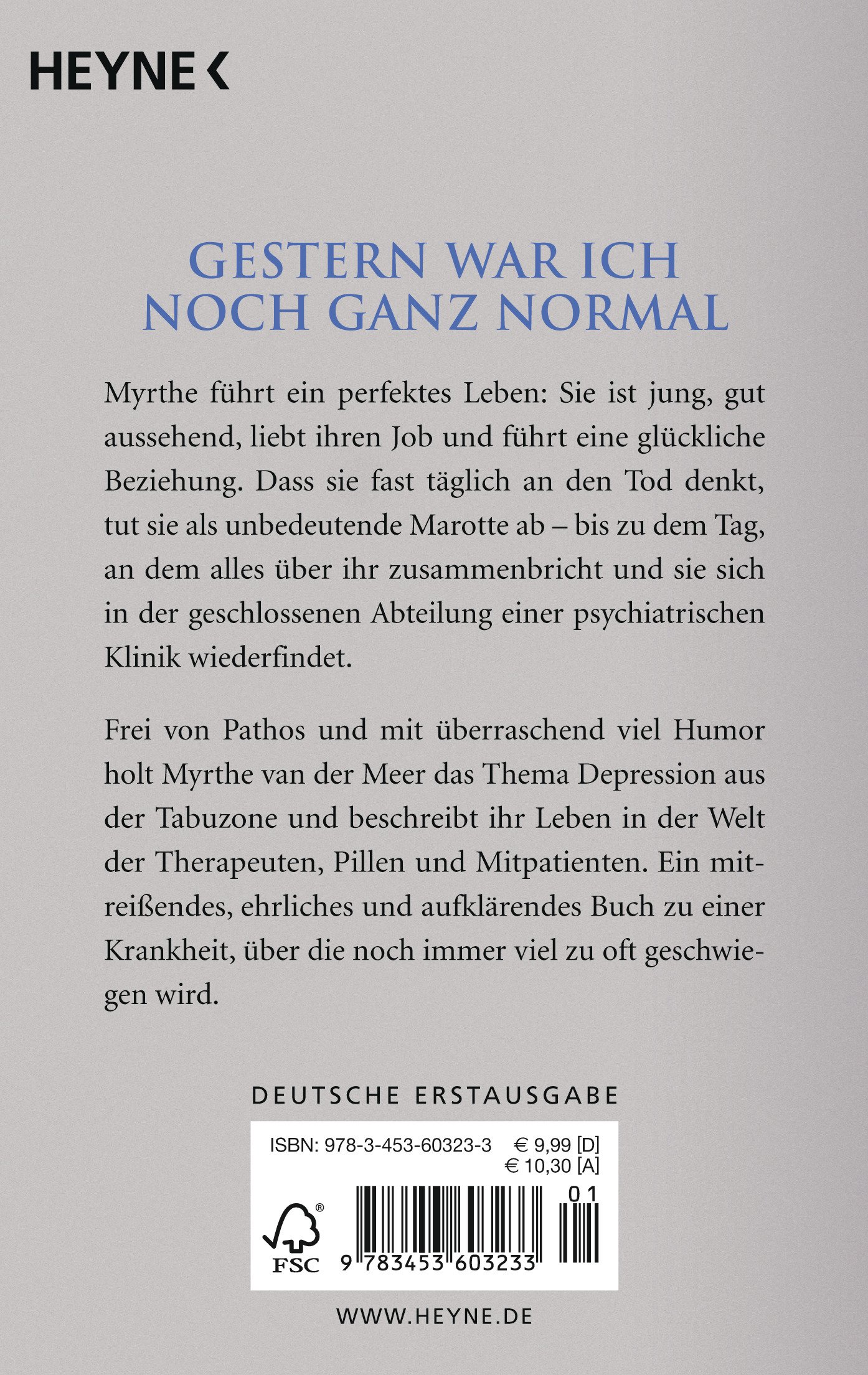 Tiefdruckgebiet Wie Ich Meine Depression In Den Griff Bekam - 