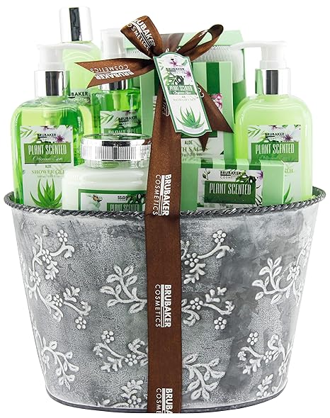 BRUBAKER Cosmetics Bade- und Dusch Set Aloe Vera - 9-teiliges Geschenkset im Vintage Pflanzkübel