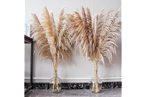 BANNIFLL 46" inch 10 Stems Natural Pampas Grass Decor Tall, Pompas Grass, Tall Pampas Grass for Weddingm, Farmhouse, Boho Home Decor (Brown)