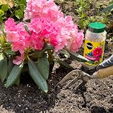 Miracle-Gro Premium Azalea Camellia Rhododendron Continuous Release Plant Food view 4