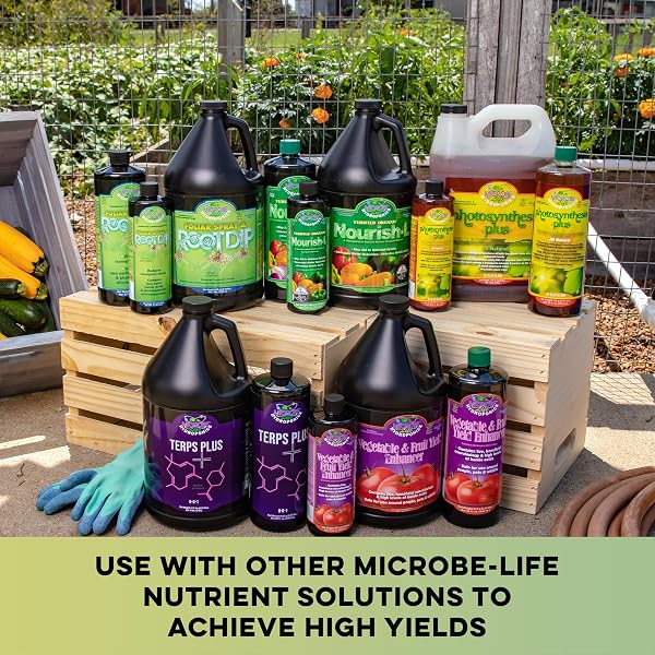 MICROBE LIFE HYDROPONICS PH21349 PREMIUM FOLIAR SPRAY & ROOT DIP, 32 OUNCE, GREEN