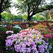 カスタマー画像