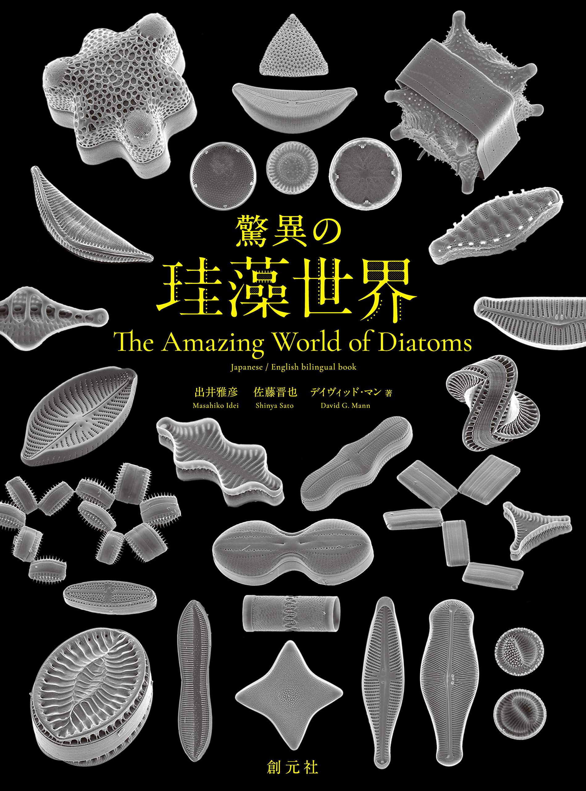 驚異の珪藻世界 The Amazing World Of Diatoms Amazon Com Books