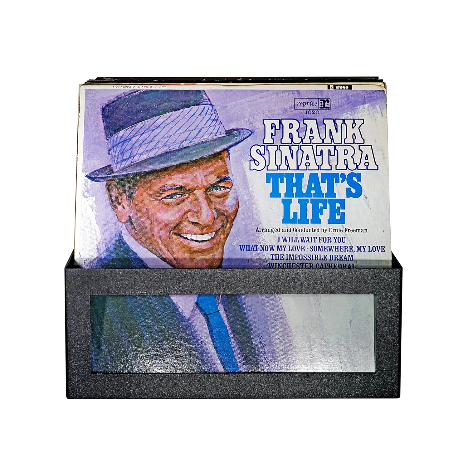 Which Is The Best Vinyl Storage Building