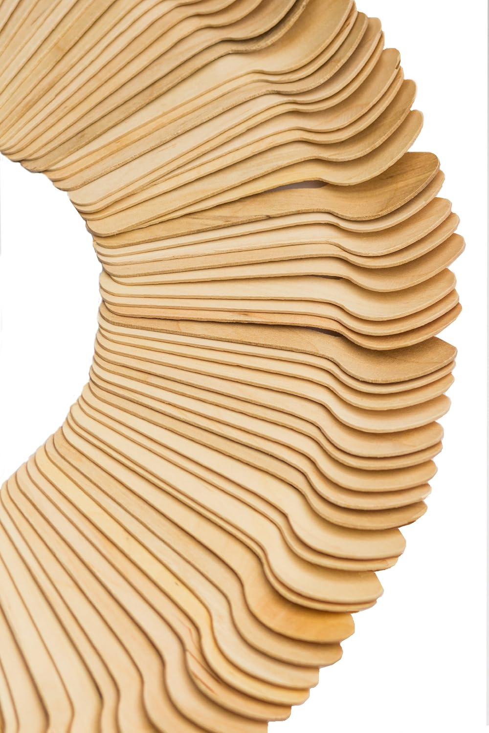 Perfect Stix Green Spoon 110 Birchwood Compostable Cutlery Taster Spoon with Concave, 4-1/2" Length (Pack of 100): Industrial & Scientific