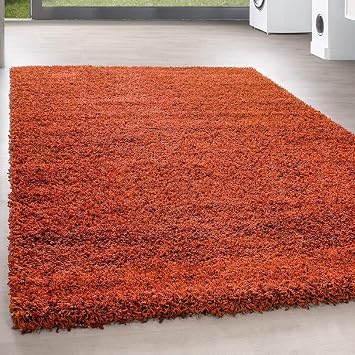 Amazon De Homebyhome Shaggy Hochflor Langflor Gunstige Terra