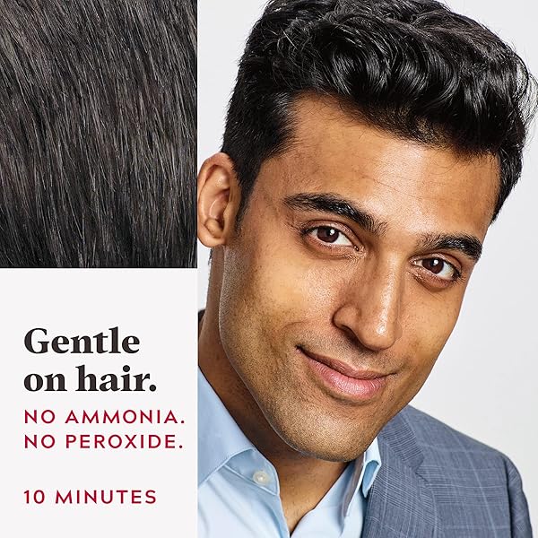 JUST FOR MEN EASY COMB-IN COLOR MENS HAIR DYE, EASY NO MIX APPLICATION WITH COMB APPLICATOR – RICH BLACK, A-65, PACK OF 1