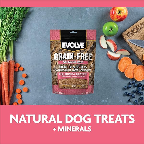 EVOLVE PET FOOD GRAIN FREE DEBONED SALMON AND CHICKPEA DOG BISCUITS 12 OUNCE (PACK OF 1)
