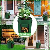 Ohiyoo 5 Pack 10 Gallon Potato Grow Bags with Window, Handles, Felt Nonwoven view 7