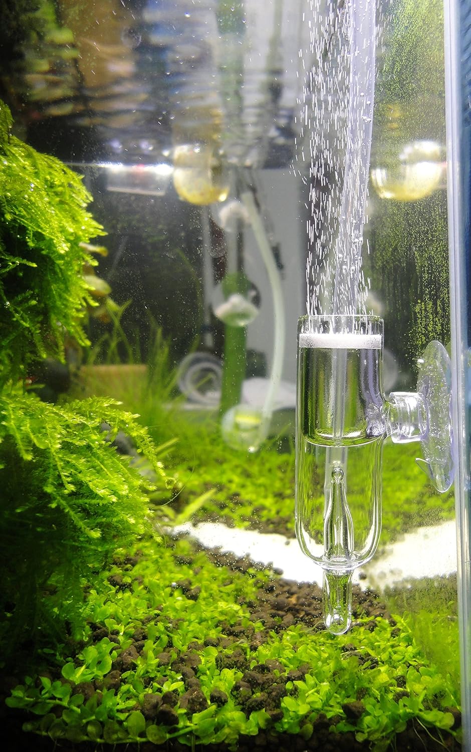 Amazon ガラス製co2拡散器 バブルカウントディフューザー Jardli 水質テスト 管理用品 通販