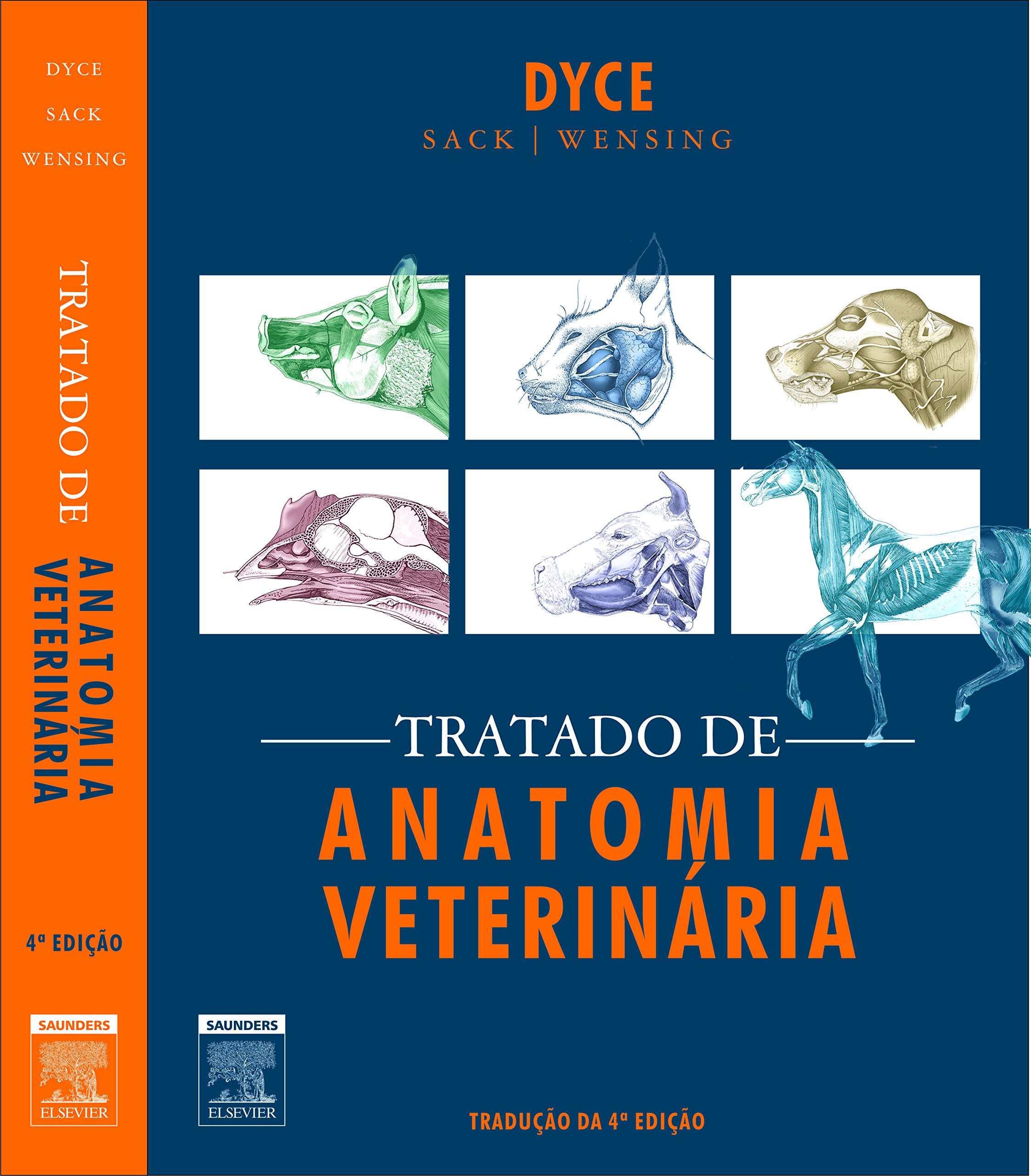 tratado-de-anatomia-veterin-ria-pdf-k-m-dyce-w-o-sack-c-j-g