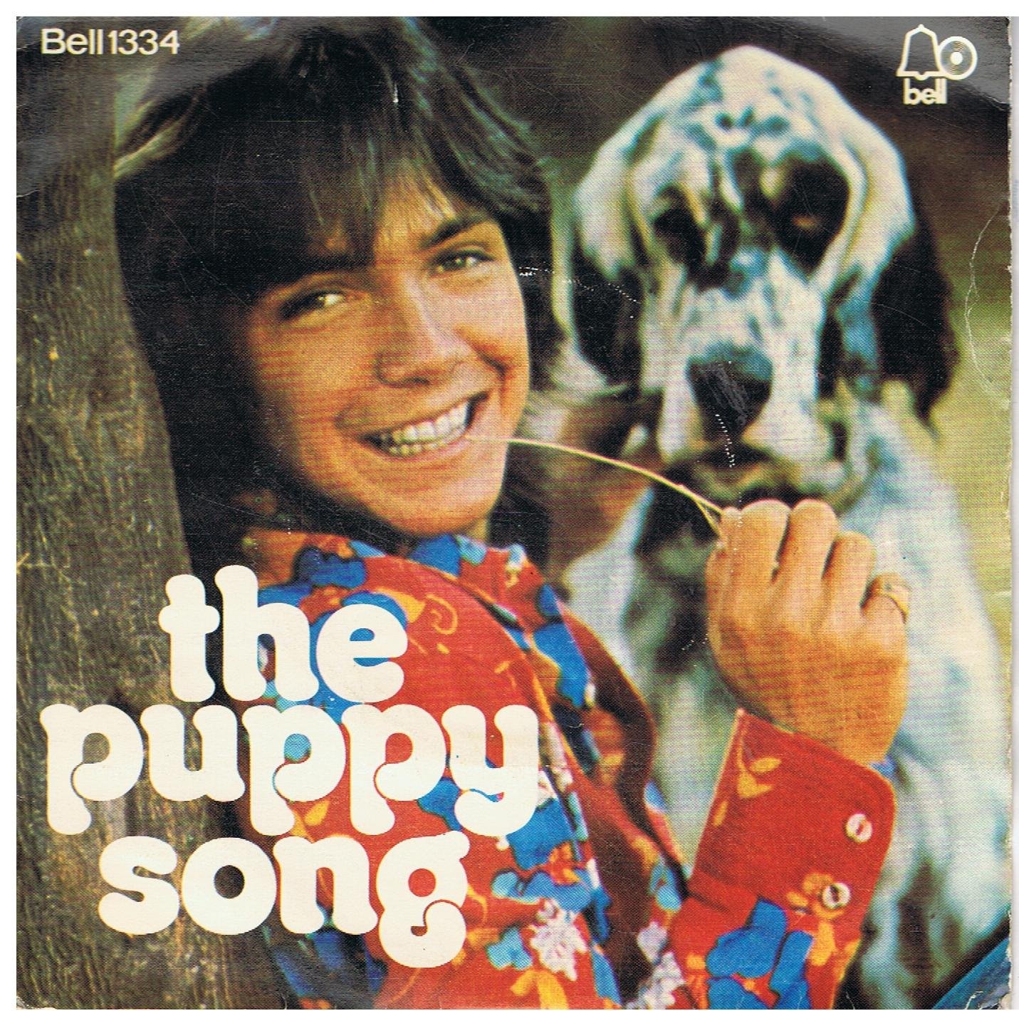 David Cassidy Daydreamer / Puppy Song David Cassidy 7 David Cassidy Daydreamer / Puppy Song David Cassidy 7