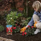 Westland Rose High Performance Plant Food 3 kg view 6