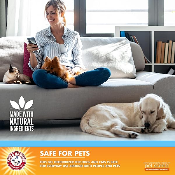 ARM & HAMMER FOR PETS AIR CARE PET SCENTS DEODORIZING GEL BEADS, PET ODOR ELIMINATOR FOR ROOMS CLOSETS AND SMALL SPACES WITH LONG LASTING ODOR CONTROL, FRESH BREEZE SCENT, 12 OZ