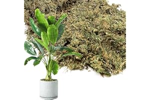 ALPHATOOL 35oz Jumbo Pack Natural Green Moss for Plants Indoor - Bulk Dried Forest Real Moss for Crafts, Artificial Fairy Gardens, Mosswall, Glass Terrariums, Floral Design, Home Decor