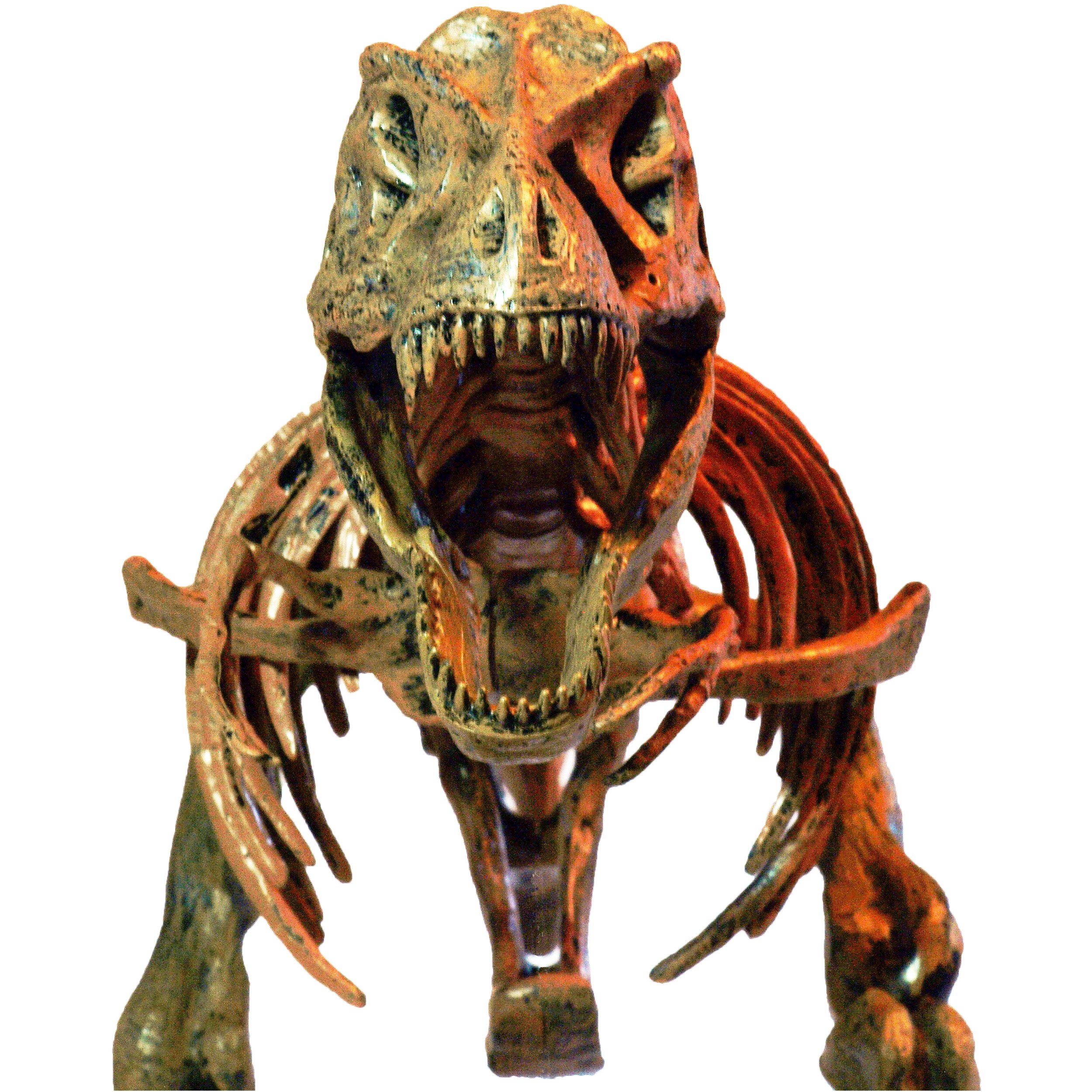 Galleon - Edu-Toys T-Rex Skeleton 36\