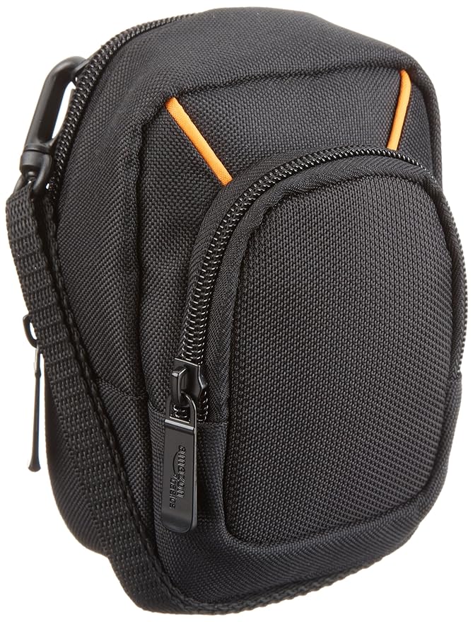 AmazonBasics Large Point and Shoot Camera Case Electronics