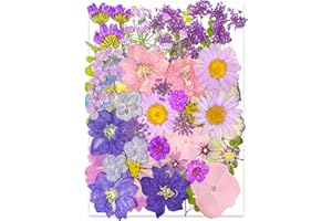 YouthBro 40pcs Purple Dried Pressed Flowers for Resin Molds,Real Natural Pressed Flowers for DIY Art Crafts,Candle Making, Na