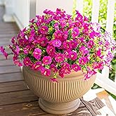 HyeFlora Artificial Flowers for Outdoors Fake Plants Outside Decoration, 12 Bundles Faux Fuchsia Morning Glory UV Resistant Look Real Silk Flowers for Outside Planter Front Door Porch Patio Yard Urn