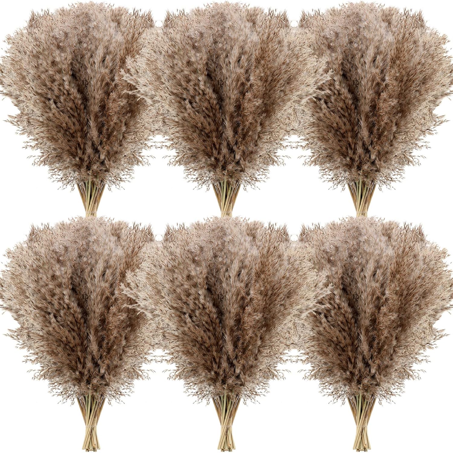 Dried & Preserved Flora - 100 Pcs Dried Pampas Grass Decor 17 Inch Bulk Natural Small Pompous Wild Fluffy Pompas Floral Boho Decor Flowers for Wedding Party Farmhouse Home Decor Bathroom Office Kitchen