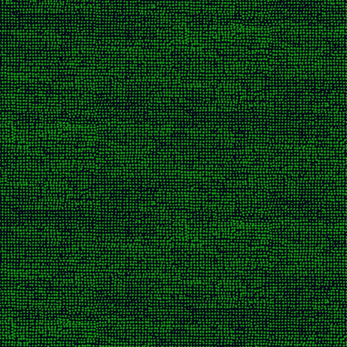 Marimekko 5 Polka Dots Black Blue Galerie Wallpaper Amazon Com