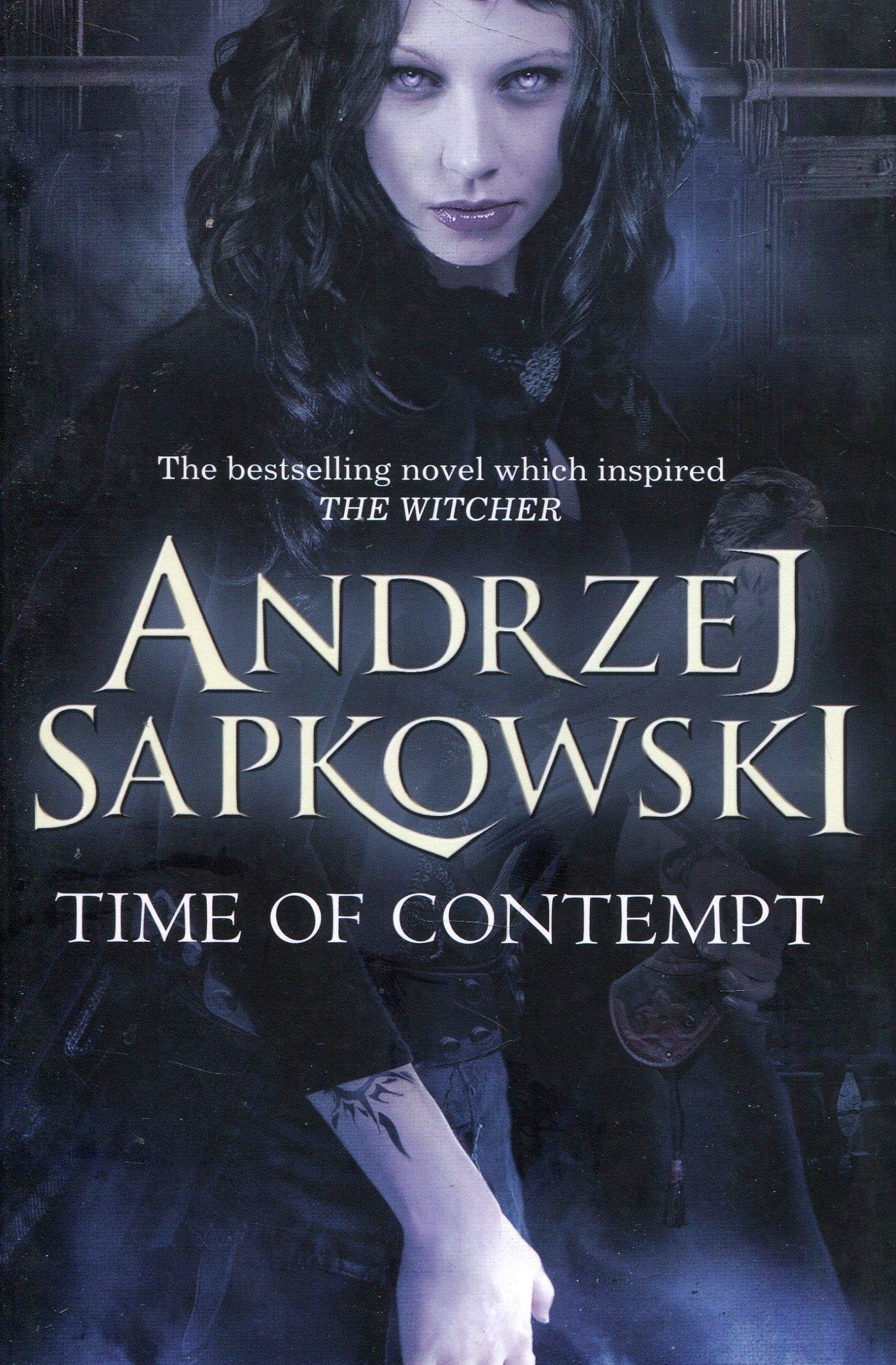 Time of Contempt: The Witcher, Book 2