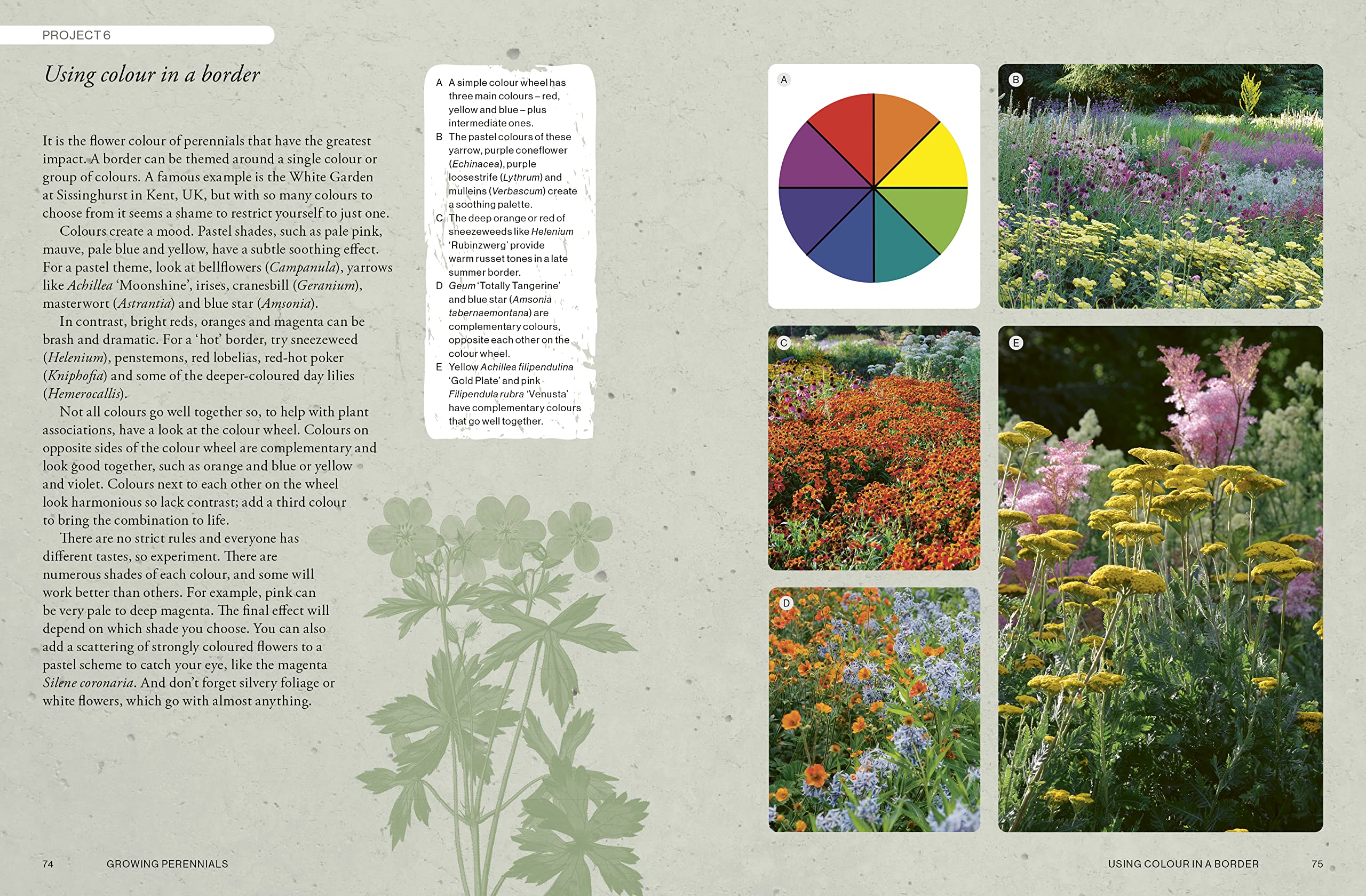 Mua The Kew Gardener's Guide to Growing Perennials: The Art and Science ...