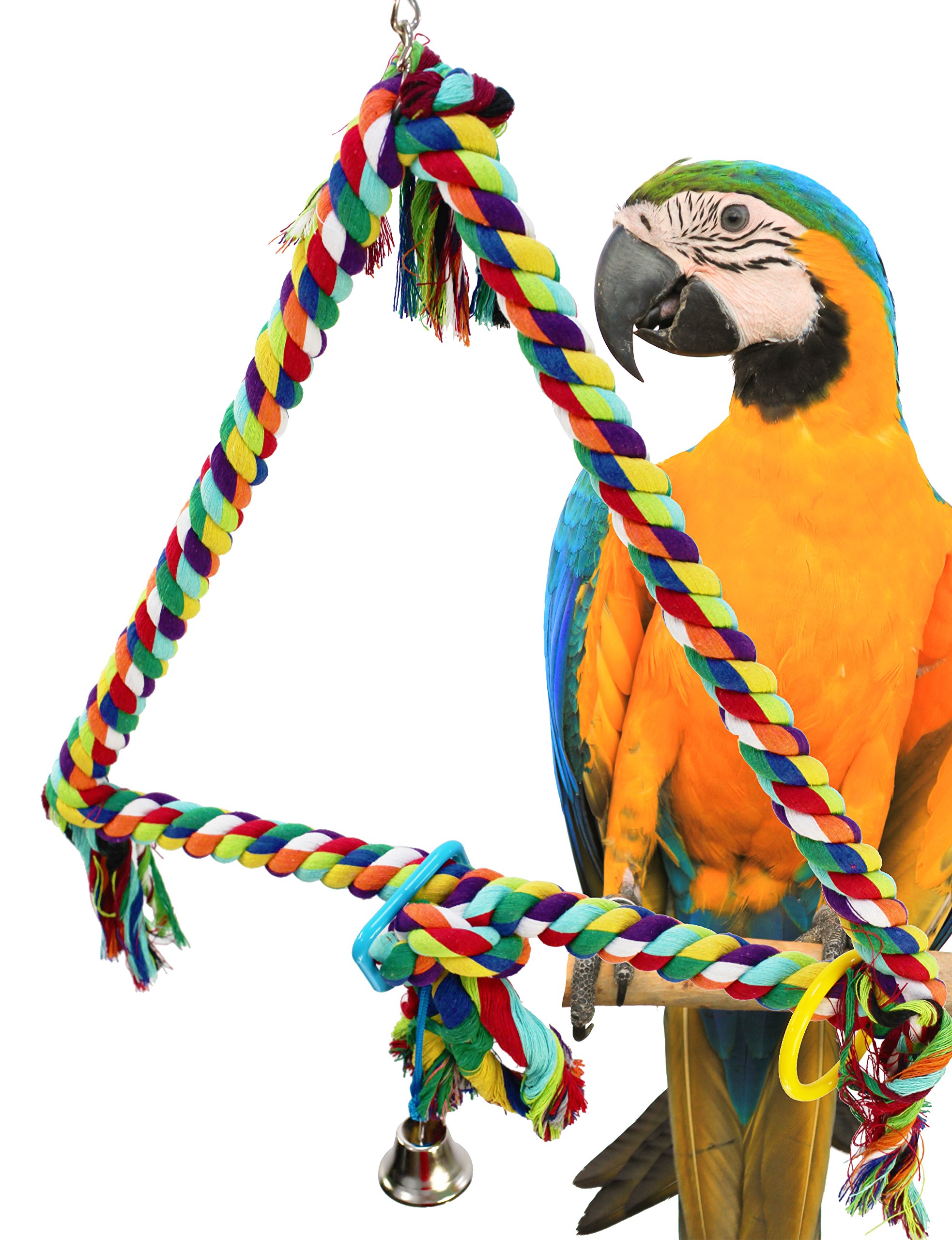 parrot rope swings