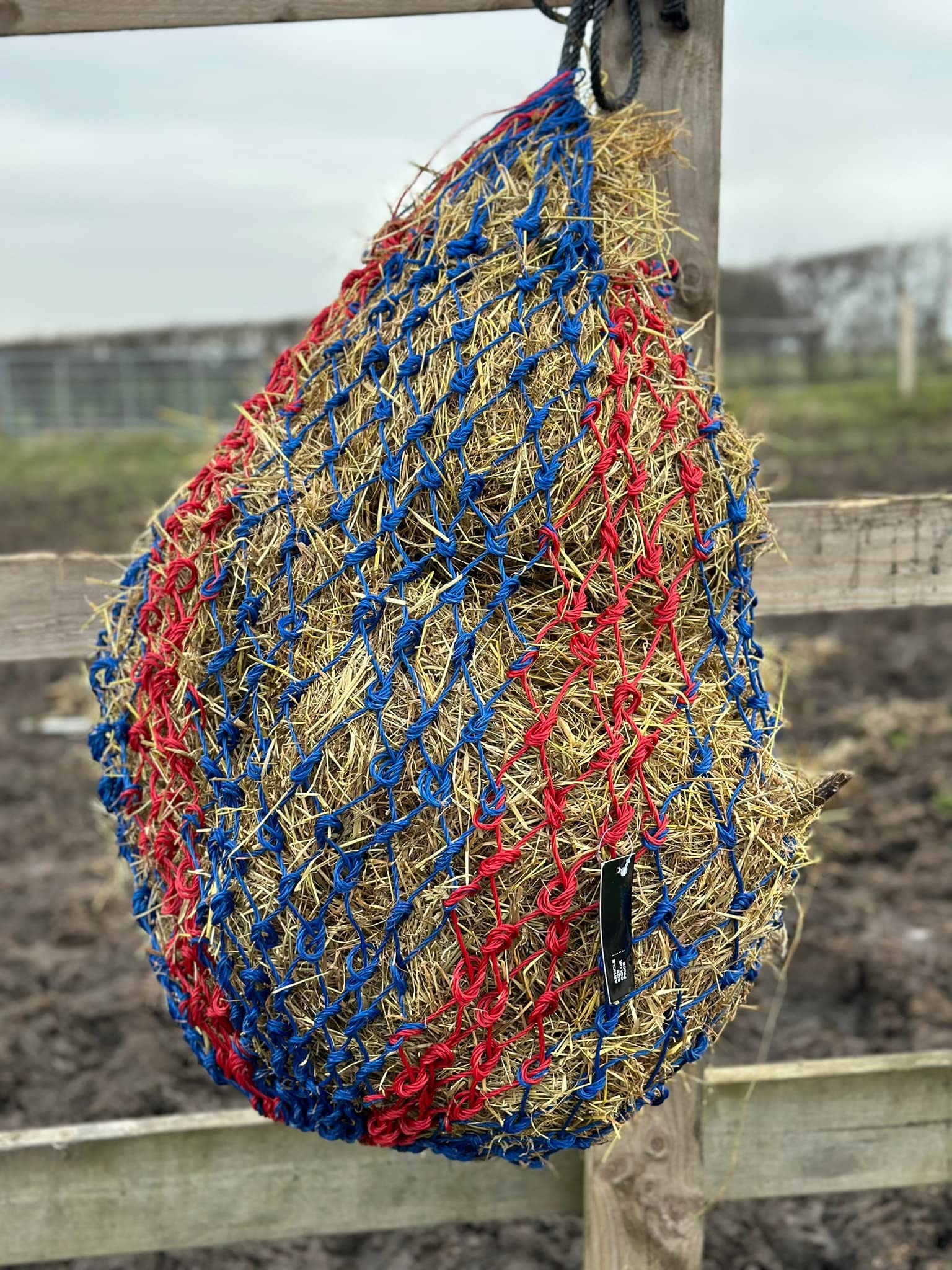 Countrypride Equipride Large Twisted Haylage Haynet for Horse with Ring on the Base 7 Colours (Red/Royal Blue)