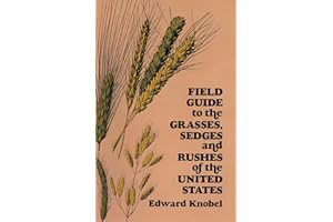 Field Guide to the Grasses, Sedges, and Rushes of the United States