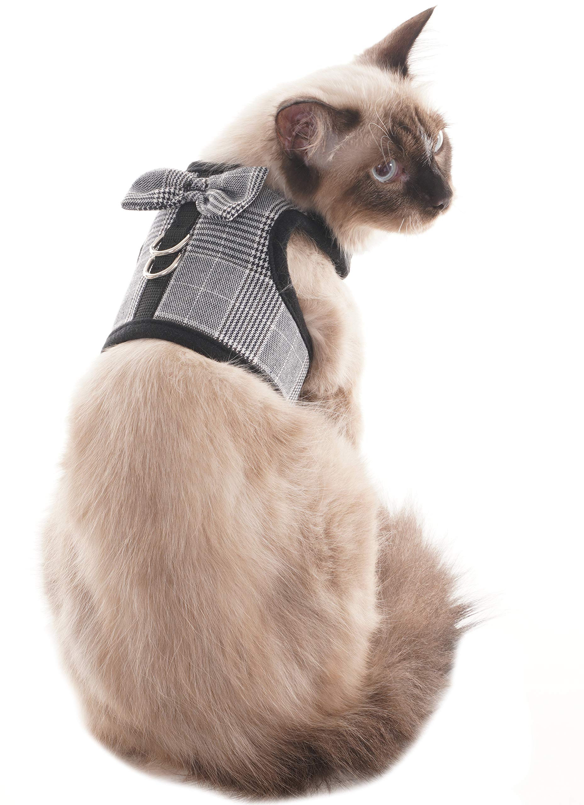 Bingpet Escape Proof Cat Harness Adjustable Vest And Leash Set