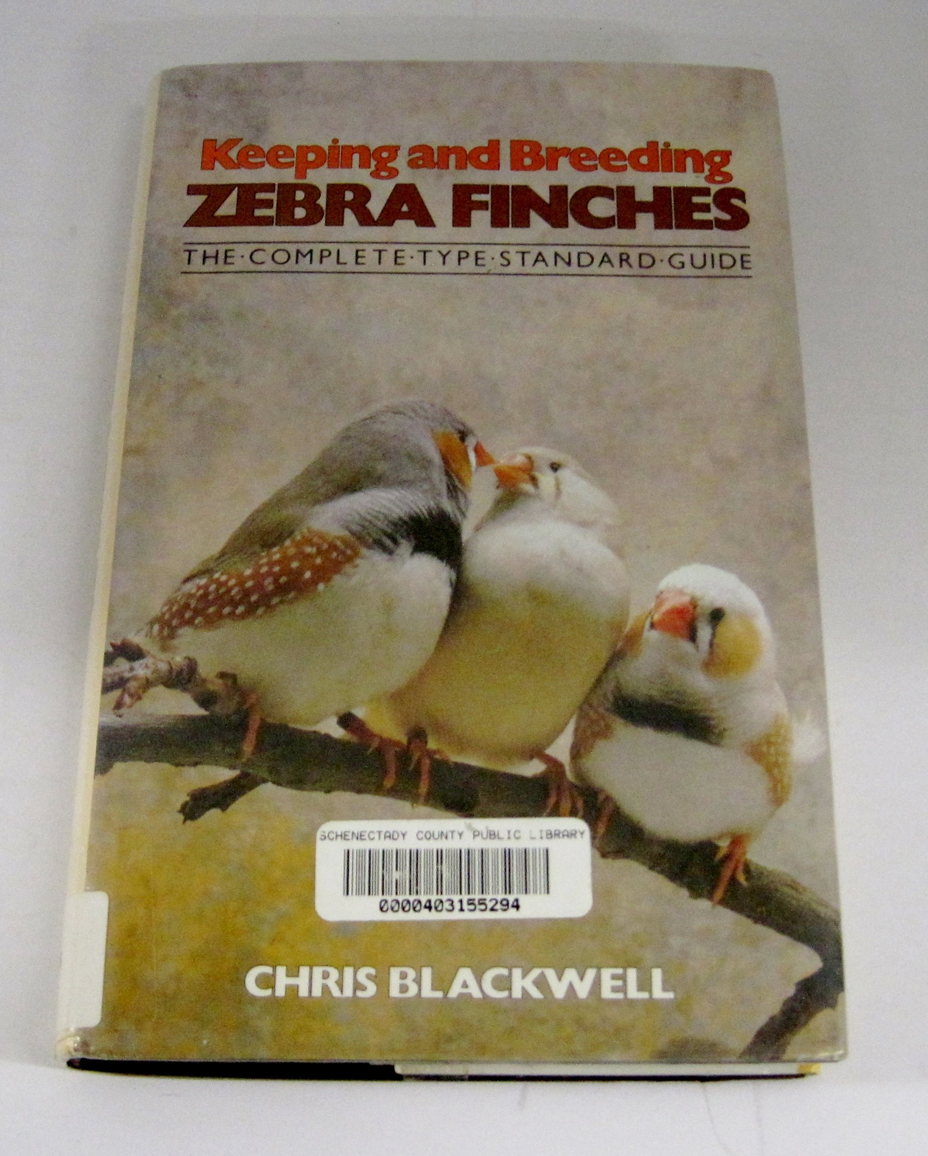 keeping zebra finches