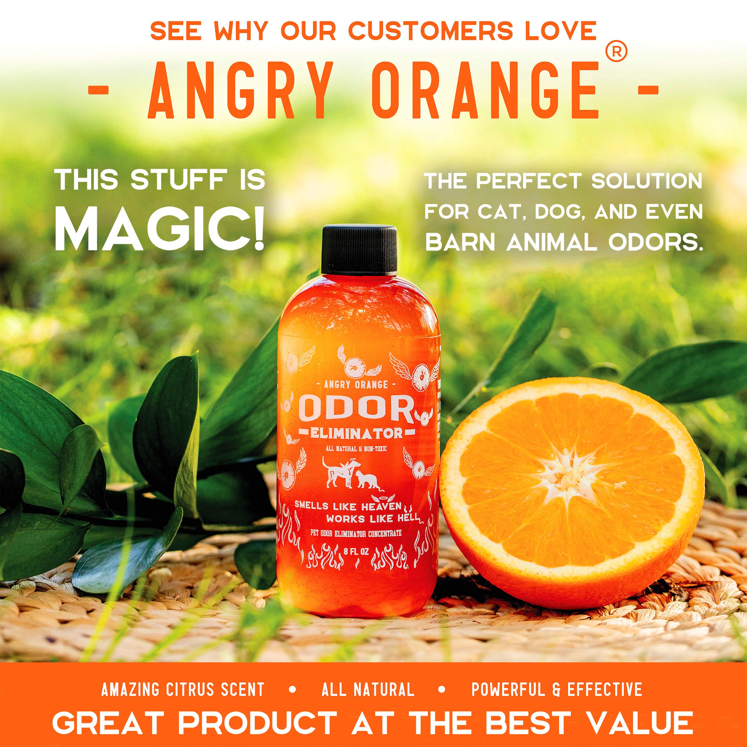 Angry Orange Pet Odor Eliminator For Dog And Cat Urine Makes 1