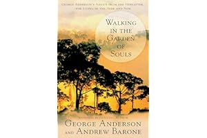 Walking in the Garden of Souls: George Anderson's Advice from the Hereafter for Living in he Here and Now