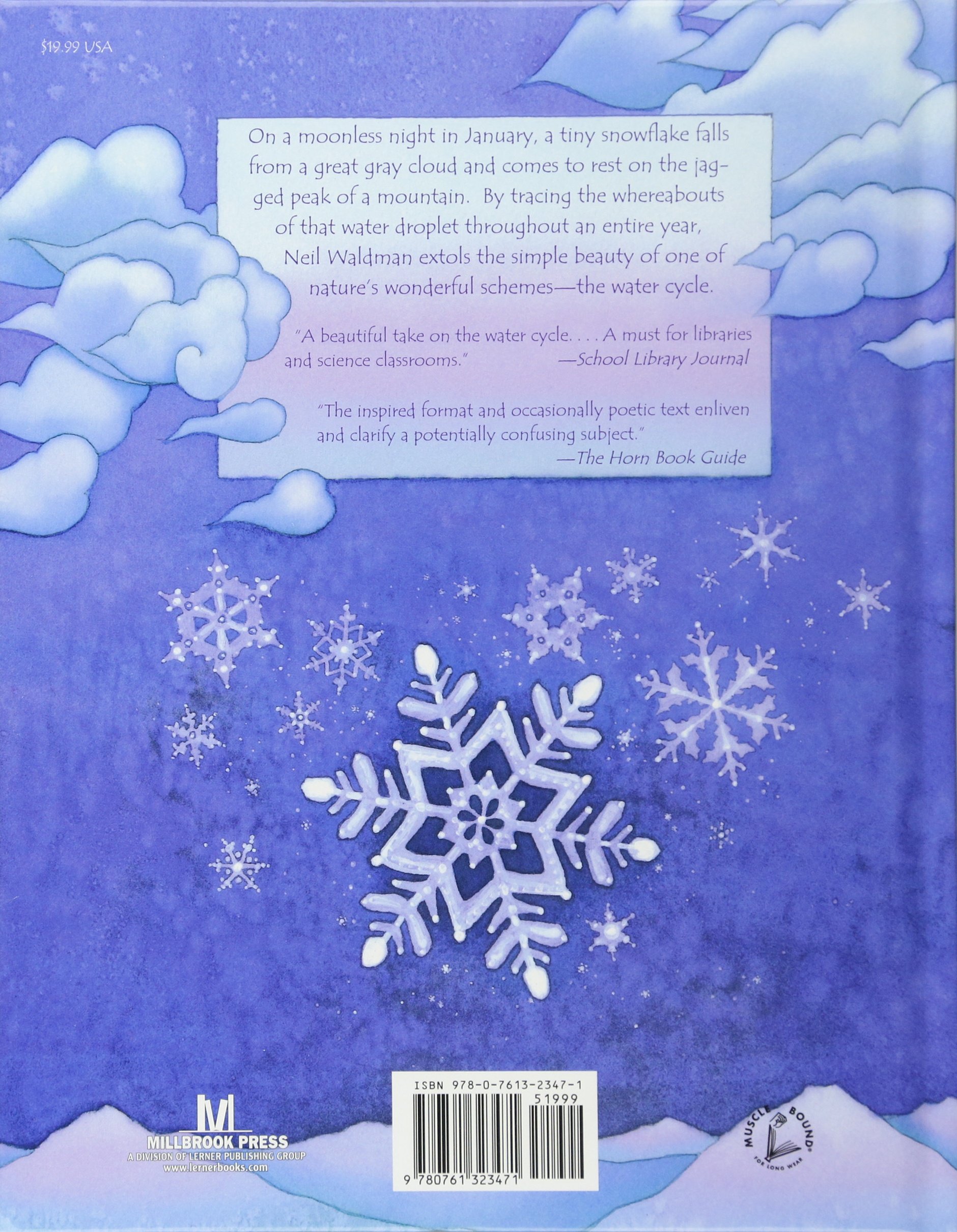 The Snowflake : A Water Cycle Story: Waldman, Neil ...