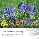 GreenBrokers Butterfly & Bee Collection Bulbs 100 Pack Spring Flowers view 3