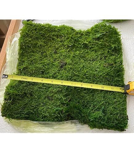 MILISTEN Tapis de mousse artificielle pour décoration de jardin, terrasse, balcon, 100 cm, point coloré